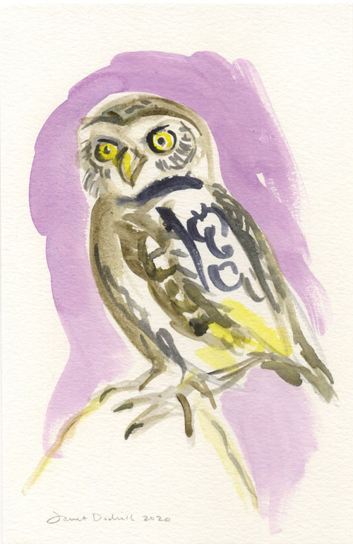 owl bird of prey drawing by janet dodrill